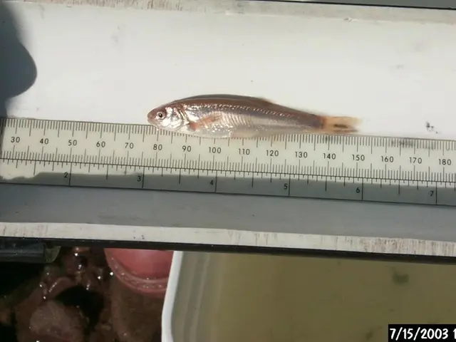 International Business Travelers Need to Know About Time Zone Adjustments When Voyaging Abroad