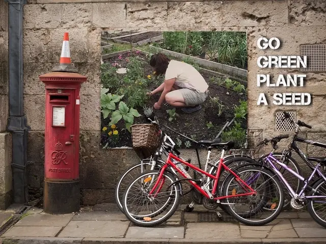 Streamlined Motorhome Journeys: Strategies to Avert Common Pitfalls