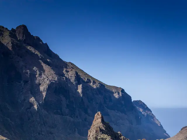 Exploring Tourist Attractions at Flat Rates: A Sound Decision?