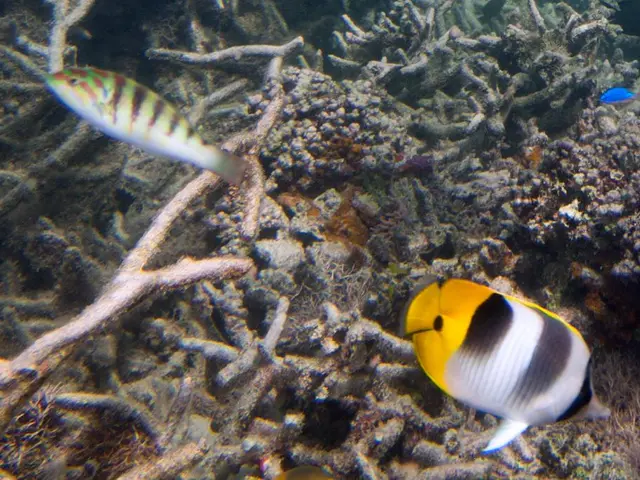 Discover underwater marvels across Asia through Agoda's selected aquarium options