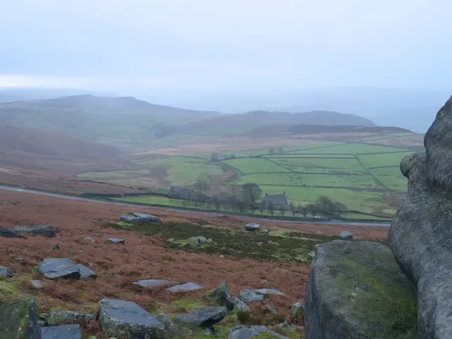 Exploring the 'Green Sahara' phenomenon in Chad's northern arid regions