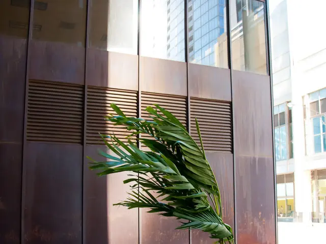 In the center of the image there is a plant and we can see shrubs. There are flowers. On the left...